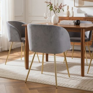 Sunvega Fran Contemporary Dining Chairs in Gold Metal and Silver Velvet Set of 2
