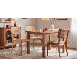 Sunvega Modern Industry Chic Cane Dining Chair Set of 2 for Dining Room
