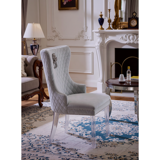 Sunvega Traditional Style Stainless Steel Chair with Plush Velvet Upholstery