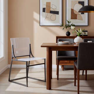 Sunvega Black Nickel Acrylic Dining Side Chair with Modern Metal Frame