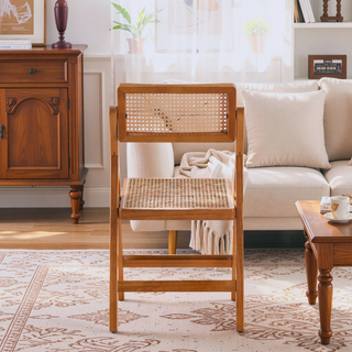 Sunvega Modern Industry Chic Cane Folding Dining Chair Set of 2 in Black and Natural