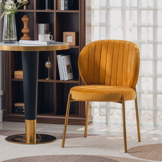 Sunvega Contemporary Velvet Upholstered Dining Chairs with Gold Metal Frame, Set of 2