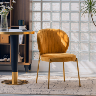 Sunvega Contemporary Velvet Upholstered Dining Chairs with Gold Metal Frame, Set of 2
