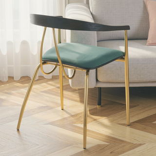 Sunvega Glam Contemporary Velvet Upholstered Chair with Gold Metal Frame