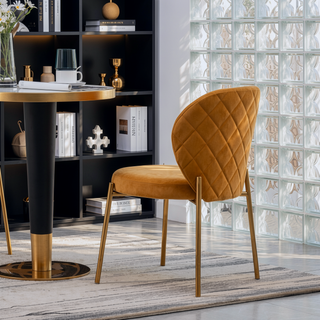 Sunvega Contemporary Velvet Upholstered Dining Chairs with Gold Metal Frame, Set of 2