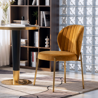 Sunvega Contemporary Velvet Upholstered Dining Chairs with Gold Metal Frame, Set of 2