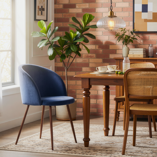 Sunvega Fran Contemporary Dining Chairs with Velvet Upholstery and Metal Legs Set of 2