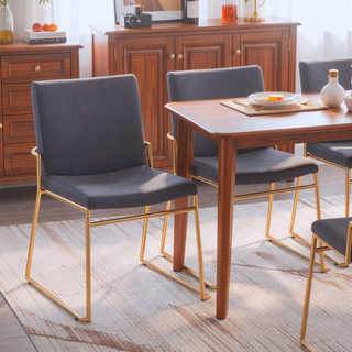 Sunvega Gold Steel and Grey Faux Leather Contemporary Dining Chair Set of 2