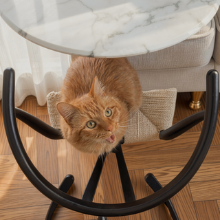 Sunvega Natural Ash Wishbone Counter Stool with Hand Woven Paper Cord Seat