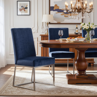 Sunvega Modern Velvet Upholstered Stainless Steel Dining Chair with Chrome Finish