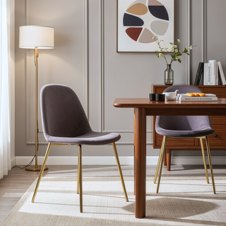 Sunvega Gold Steel and Grey Velvet Pebble Contemporary Chairs Set of 2