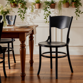 Sunvega Solid Wood Dining Chairs Set of 2 Fully Assembled for Dining Room and Living Room