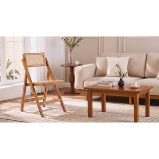 Sunvega Modern Industry Chic Cane Folding Dining Chair Set of 2 in Black and Natural