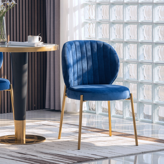 Sunvega Contemporary Velvet Upholstered Dining Chairs with Gold Metal Frame, Set of 2