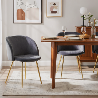 Sunvega Fran Contemporary Dining Chairs in Gold Metal and Silver Velvet Set of 2