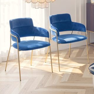 Sunvega Gold Metal Frame and Blue Velvet Upholstery Contemporary Chair Set of 2