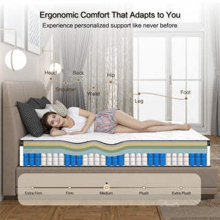 Sunvega 12 Inch Full Hybrid Mattress with Pocket Coils and Memory Foam for Medium Firm Pressure Relief
