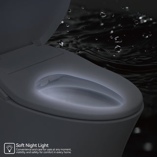 Sunvega Non-Electric Bidet Toilet Seat with Heated Seat and Dual Wash Modes