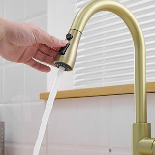 Sunvega Single Handle Kitchen Sink Faucet with Pull Out Sprayer and Deck Plate