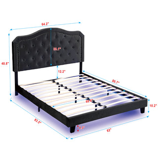 Sunvega Black Velvet Queen Upholstered Bed with Button Tufted Curve Design and LED Lights
