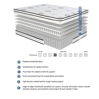 Sunvega 12-inch Queen Plush Foam Hybrid Mattress with Breathable Quilted Cover for Medium Comfort