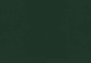 Sunvega Twin Size Green Velvet Upholstered Platform Bed Frame for Youth Bedroom