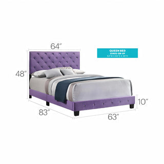 Sunvega Purple Transitional Queen Bed with Vibrant Finish and Sturdy Support