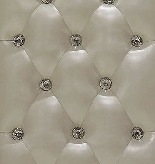 Sunvega Bone White Tufted Arm Chair Set with Carved Claw Legs and Button-Tufted Backrest