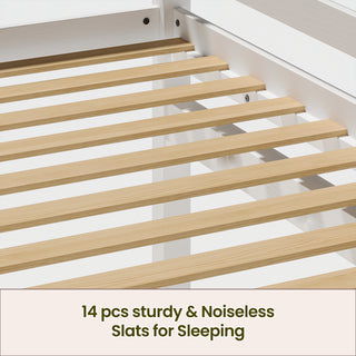 Sunvega Solid Wood Low Loft Bed with LED Lighting Converts to Twin Bunk Bed