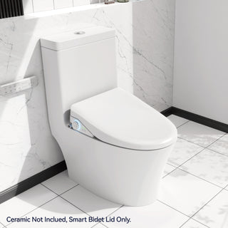 Sunvega Non-Electric Bidet Toilet Seat with Heated Seat and Dual Wash Modes
