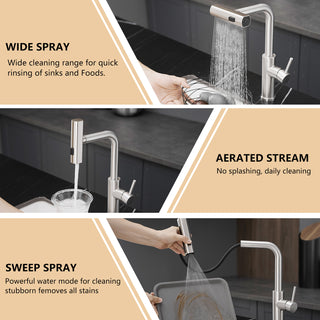 Sunvega Single Handle Kitchen Sink Faucet with Pull Out Sprayer and Deck Plate