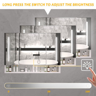 Sunvega Aluminium Medicine Cabinet Mirror with LED Light Defogging Function Cosmetic Storage Rack