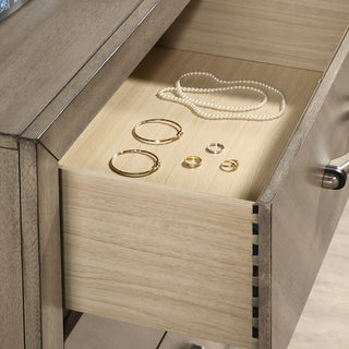 Sunvega Antique Gray 2-Drawer Nightstand with Metal Accents for Bedroom Storage