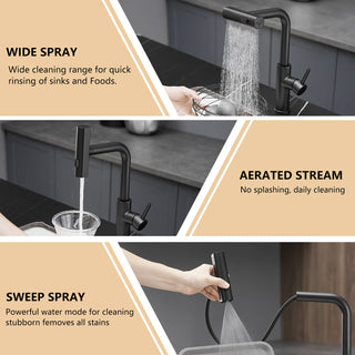 Sunvega Single Handle Kitchen Sink Faucet with Pull Out Sprayer and Deck Plate