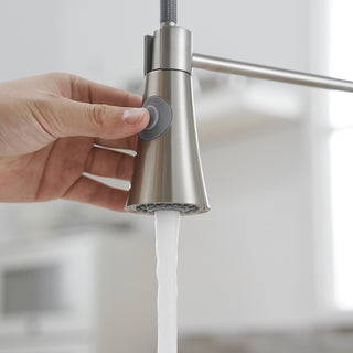 Sunvega Brushed Nickel Single Handle Kitchen Faucet with Pull Out Sprayer