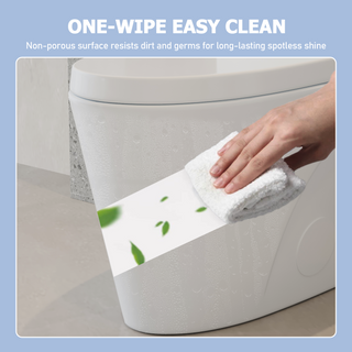 Sunvega 1.1/1.6 GPF Dual Flush Elongated Comfort Height One-Piece Toilet with Soft Closing Seat