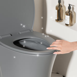 Sunvega Light Grey Elongated One-Piece Toilet with Dual Flush and Soft Closing Seat