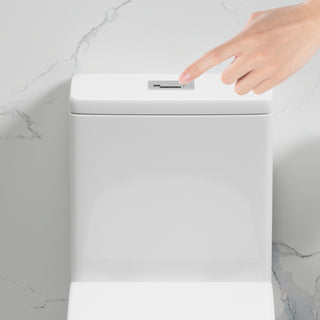 Sunvega One-Piece Toilet with Rimless Siphon Flush and Soft Closing Seat ADA Height