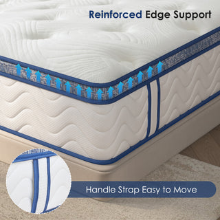 Sunvega 12 Inch Hybrid Queen Mattress with Pocket Springs and Memory Foam Support